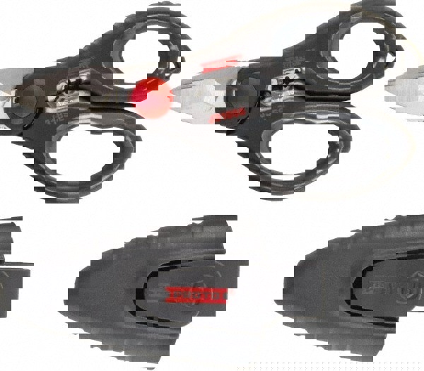 Scissors: Stainless Steel Blade